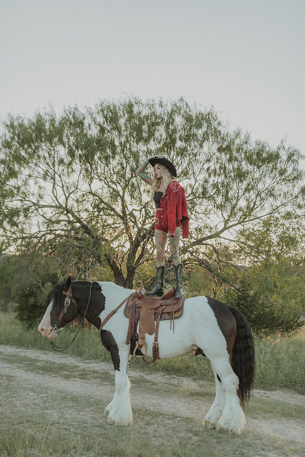 DIME STORE COWGIRL SHORT IN LOVE POTION