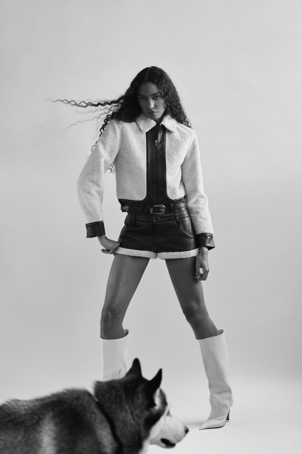 FAUX SHEARLING LEATHER SHORTS