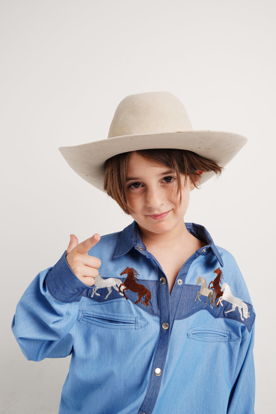 EMBROIDERED COWBOY SHIRT